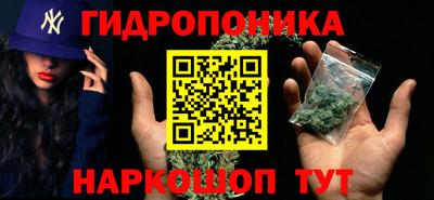 ГАЛЛЮЦИНОГЕННЫЕ ГРИБЫ Нальчик