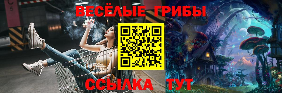Сызрань  наркошоп  Вход с VPN  Галлюциногенные грибы мицелий 