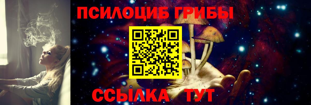 Псилоцибиновые грибы GOLDEN TEACHER Сызрань